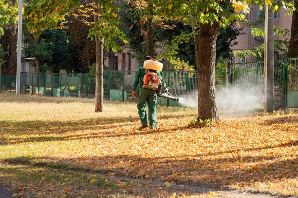 Best Commercial Pest Control Services  in USA